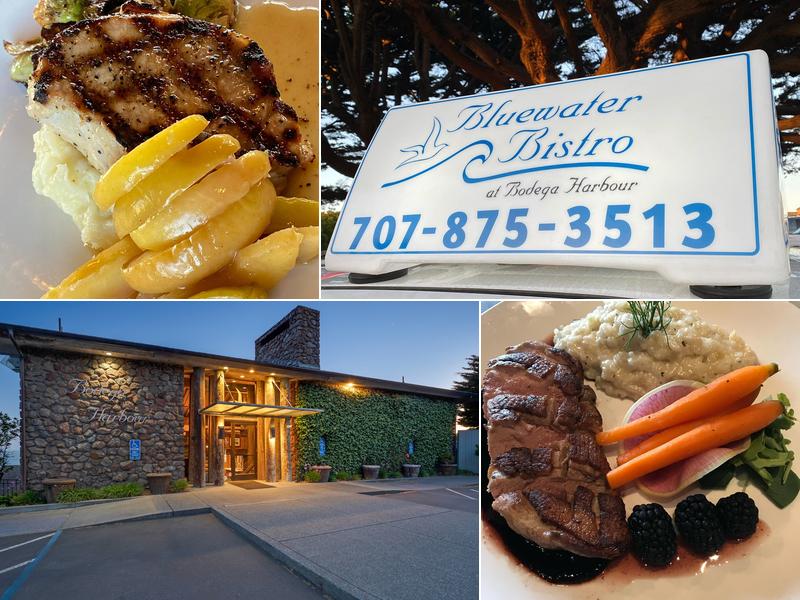 Bluewater Lounge at Bodega Harbour