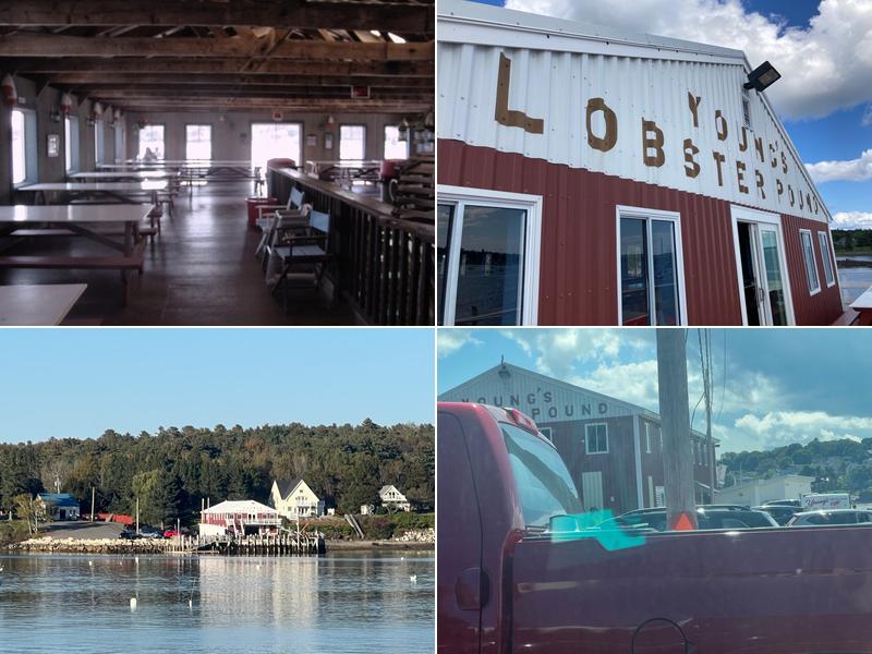 Young's Lobster Pound