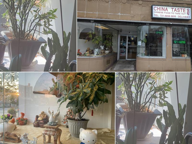 China Taste 8 E Main St, Ephrata