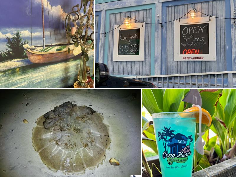 Cone Heads 8020 Cape San Blas Rd, Port St Joe