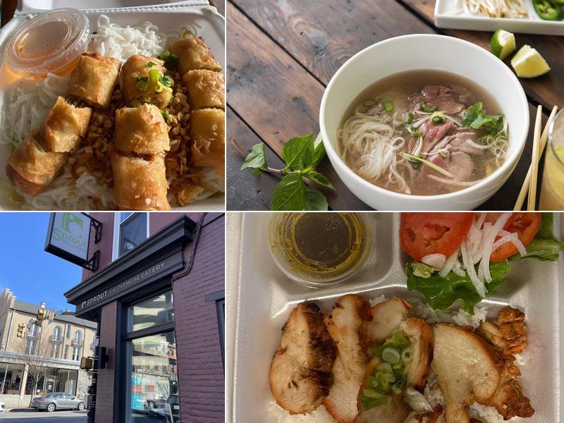 SPROUT of Rice & Noodles Vietnamese Eatery