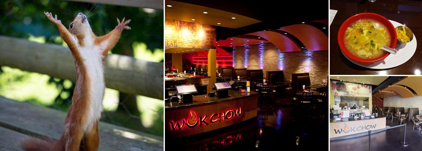 WokChow Fire Seared Asian