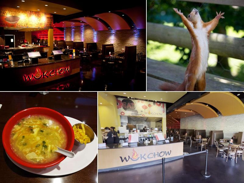 WokChow Fire Seared Asian