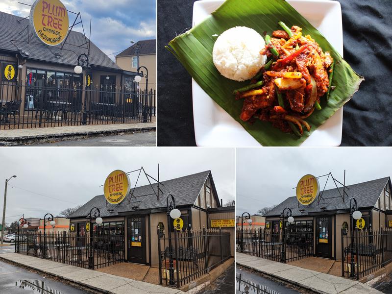 Plum Tree Chinese Restaurant