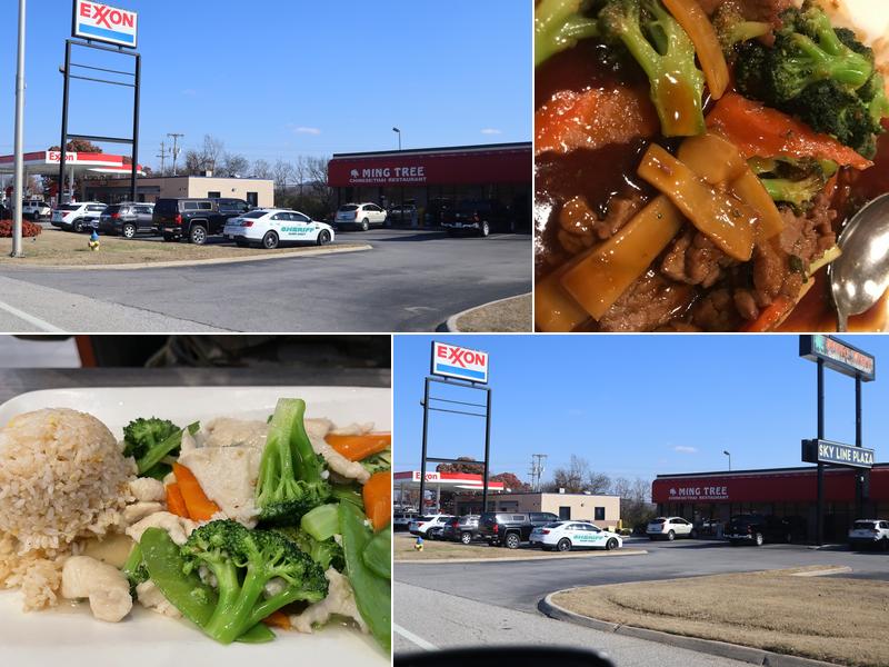 Ming Tree 2754 Alcoa Hwy, Alcoa