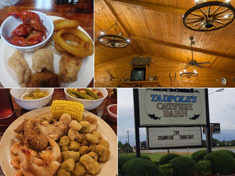 Tadpole's Catfish Barn 6201 Batesville Blvd, Pleasant Plains