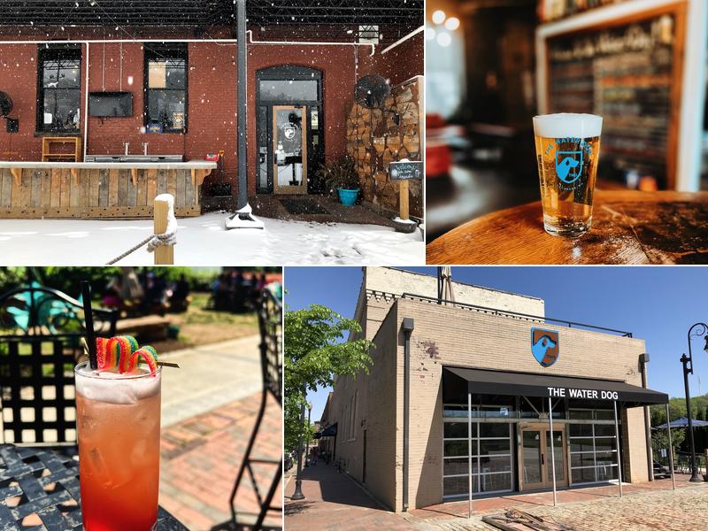 The Water Dog 1016 Jefferson St, Lynchburg