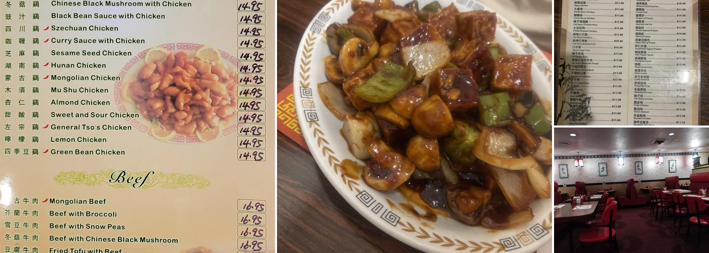 Iron Wok Menu