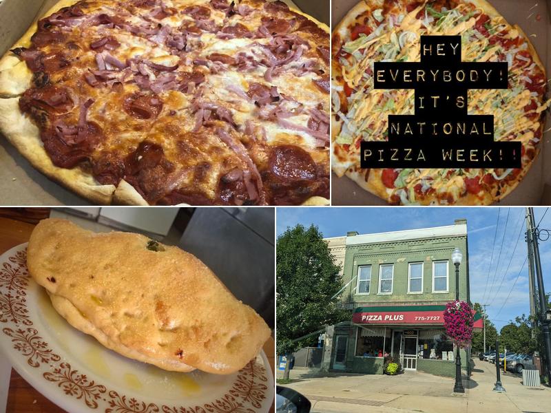 Pizza Plus 302 N Mitchell St, Cadillac