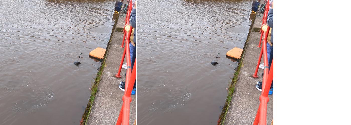 Joe’s Catch Eyemouth