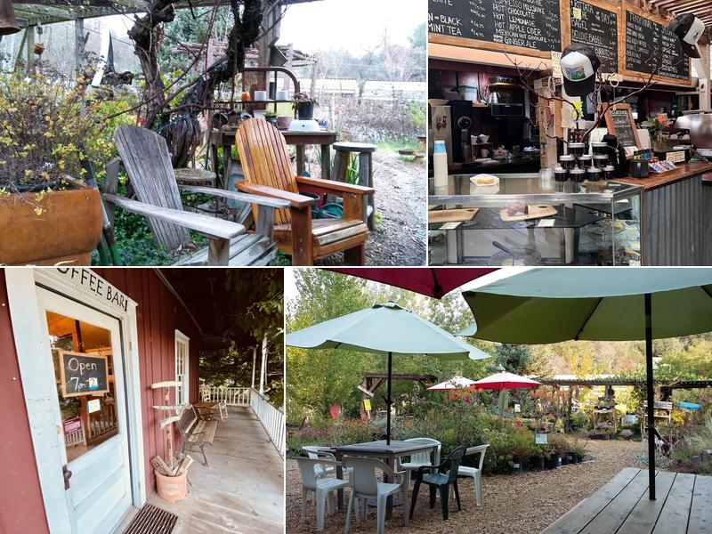 Mountain Sage 18653 Main St, Groveland