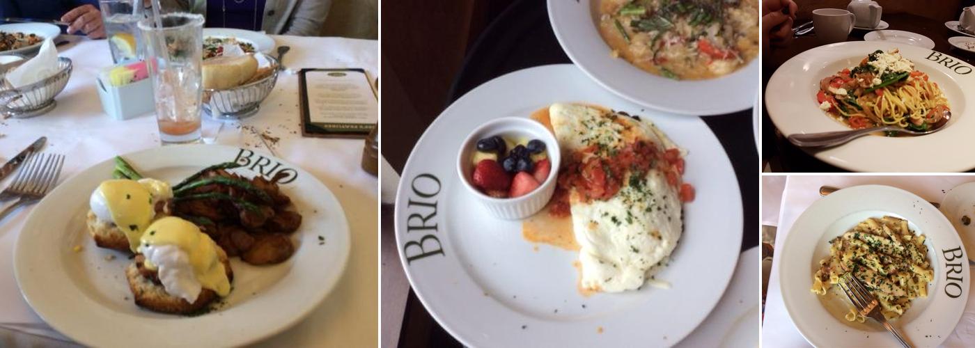 BRIO Tuscan Grille