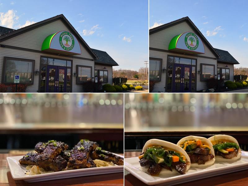 Magic Tree Pub & Eatery
