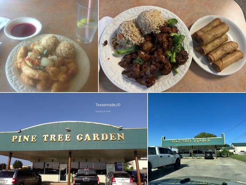 Pine Tree Garden Chinese