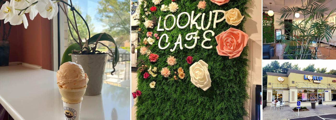 Look Up Dessert Cafe