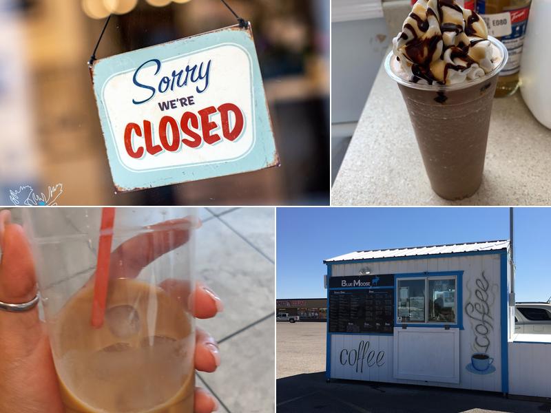 Blue Moose Coffee Creations