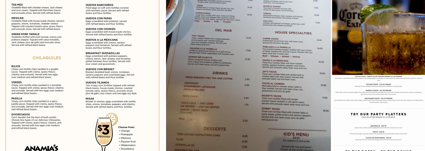 Anamia's Tex Mex Menu