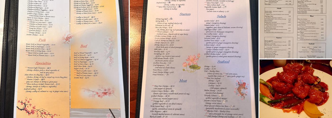 Duck Sauce Menu