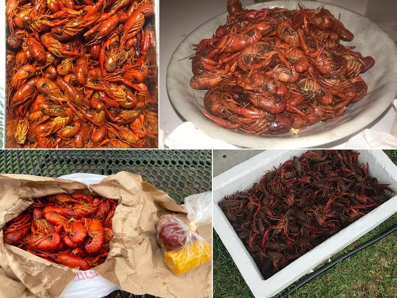 Atchafalaya Crawfish