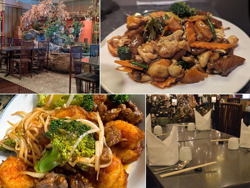 Yantze 2333 Welsh Rd, Lansdale