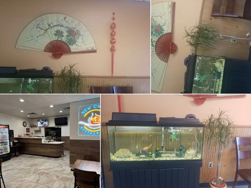 New China 943 Kings Hwy #501, West Deptford