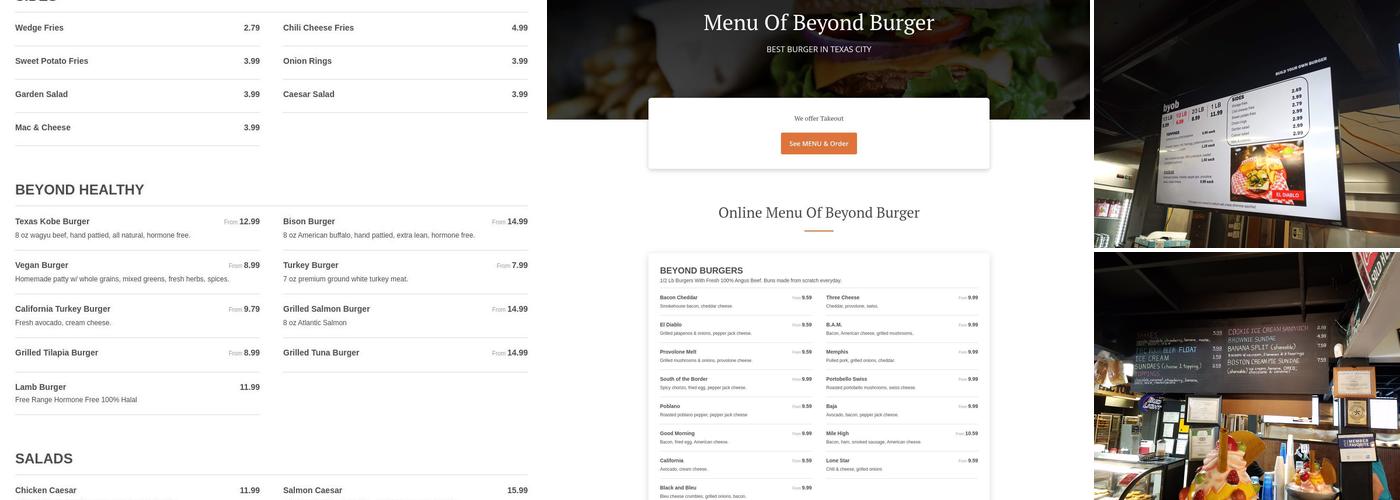 Beyond Burger Menu