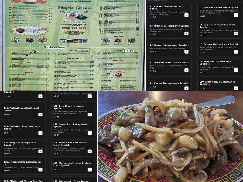 Magic China Menu