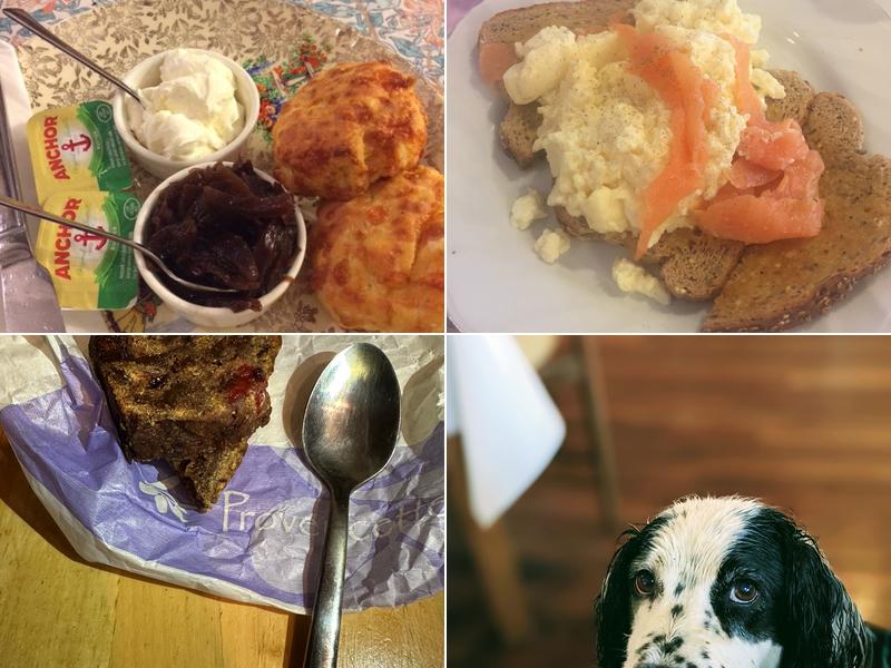 The Anvil, Bishop's Waltham