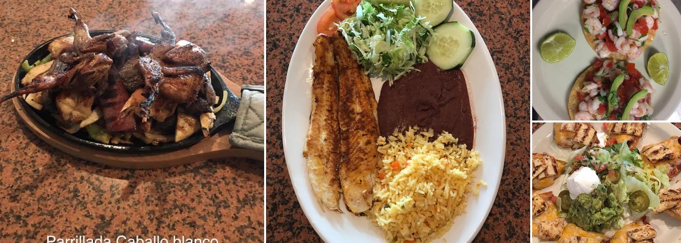 El Caballo Blanco Bar & Grill