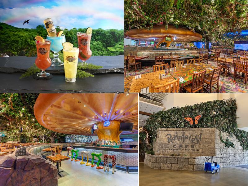 Rainforest Cafe