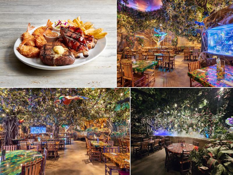 Rainforest Cafe 5310 Seawall Blvd, Galveston