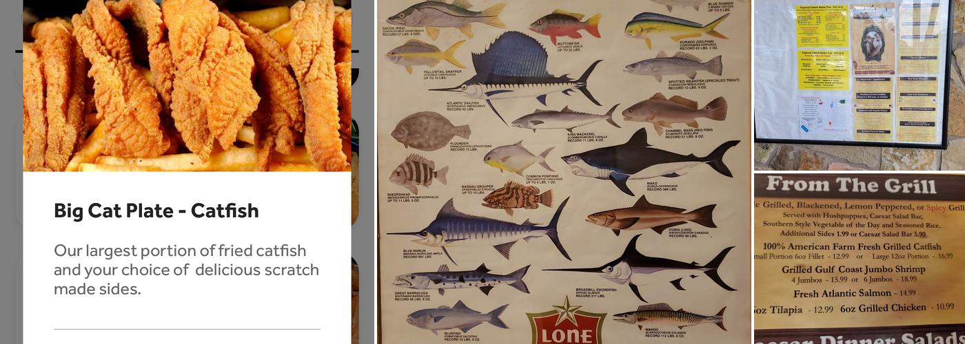 Catfish Parlour Georgetown Menu