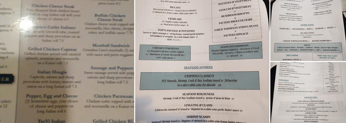 TreVi Pizza Pasta BYOB Menu