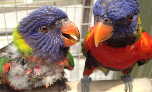 Kentucky Down Under Adventure Zoo Horse Cave