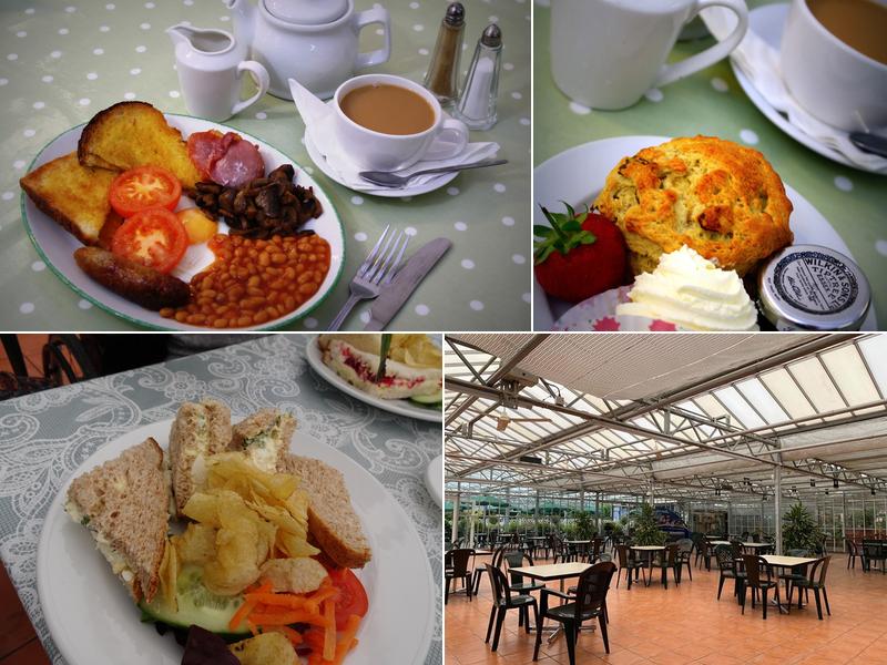 The Palm House Restaurant