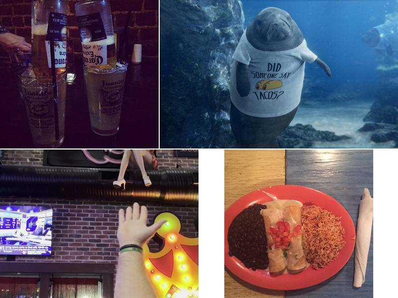 Juanita Greenberg's Nacho Royale