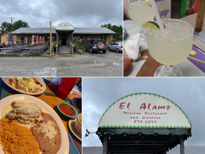 El Alamo 3635 US-80, Delhi