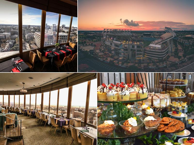 Garage Drs Opener Duluth