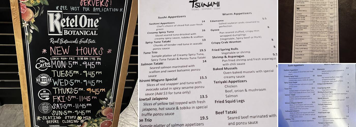 Tsunami restaurant Menu