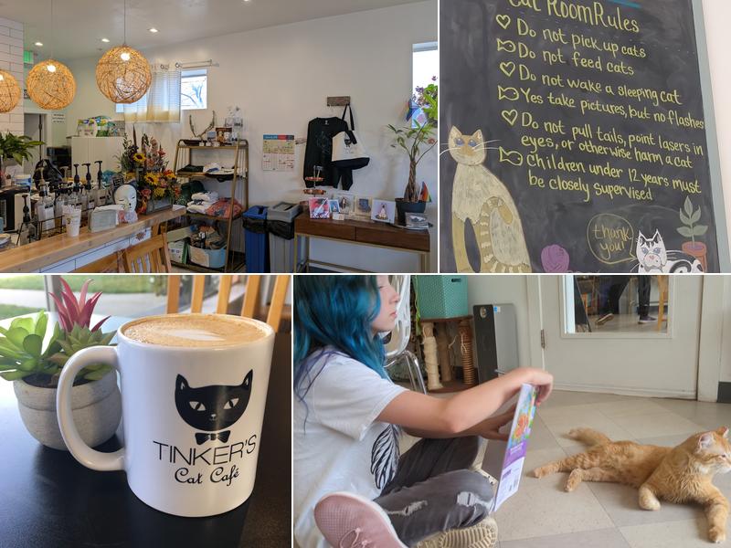 Tinker's Cat Café Menu