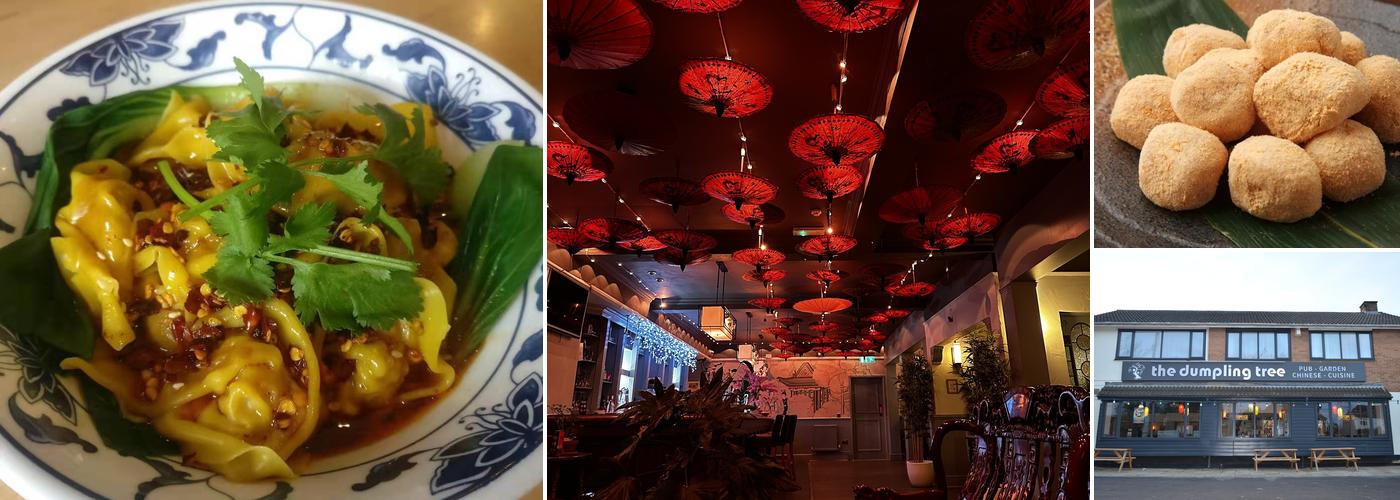 The Dumpling Tree Bar & Restaurant