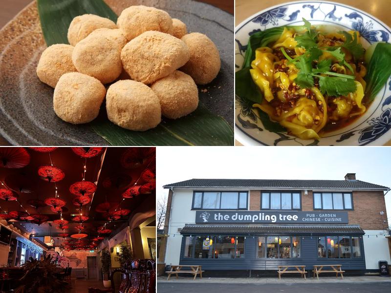 The Dumpling Tree Bar & Restaurant