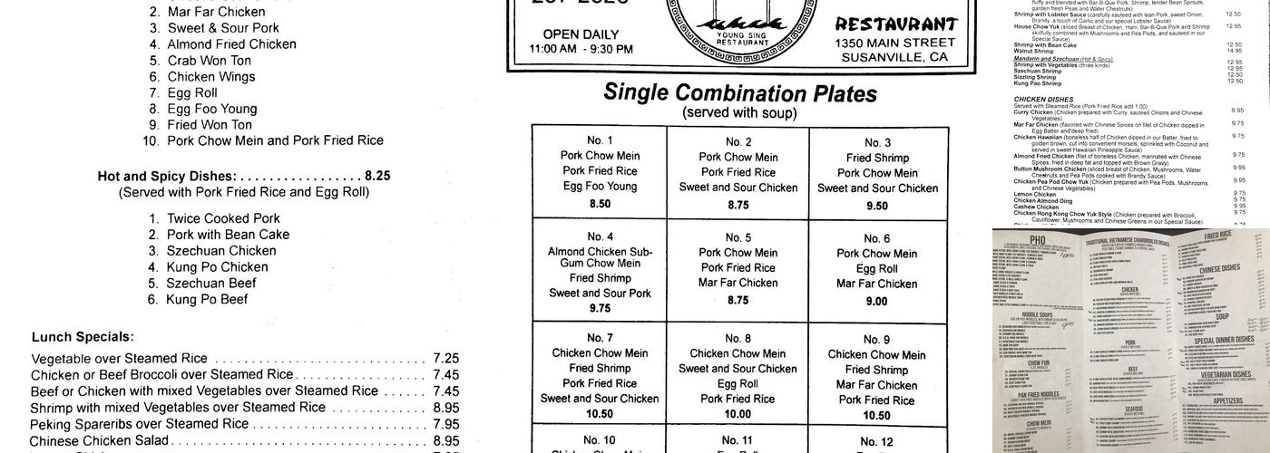 Young Sing Restaurant Menu