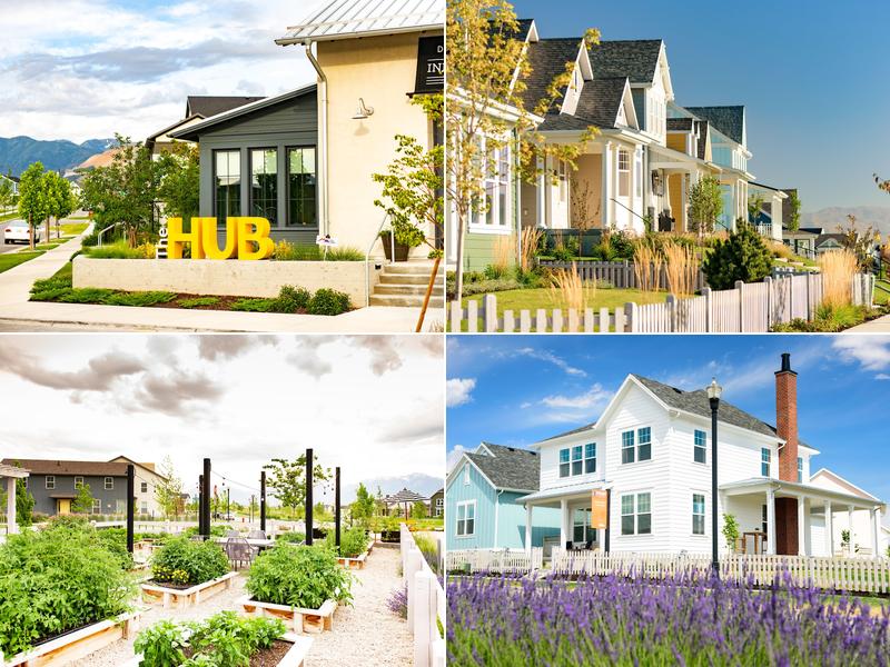 The Hub and Biscotts Cafe