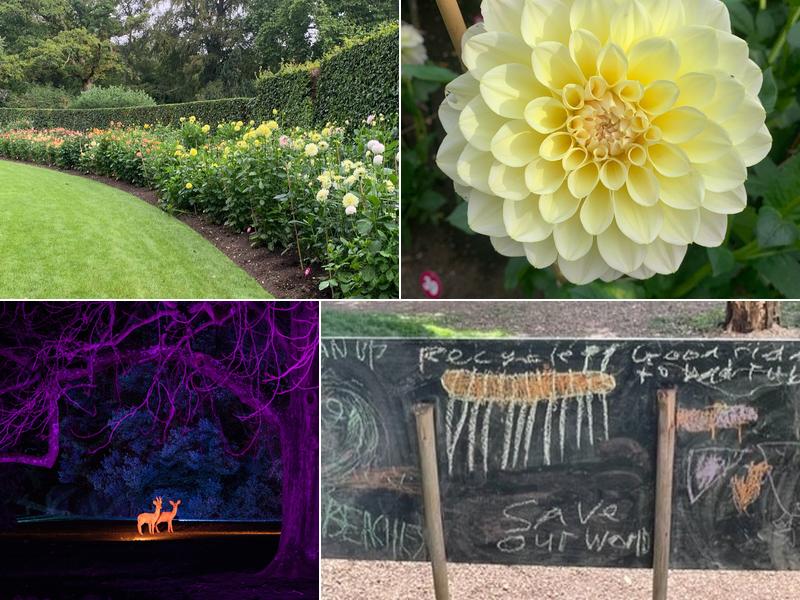 Redwoods Restaurant Within Anglesey Abbey