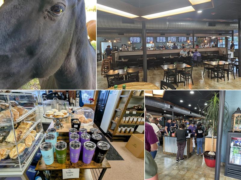 DT's Blue Ridge Java Menu