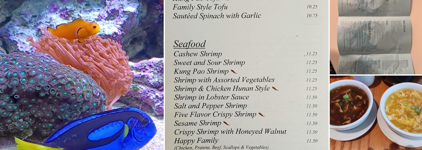 Szechuan Kitchen Menu