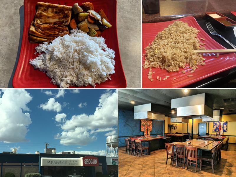 Shogun 1315 Tahoka Rd, Brownfield