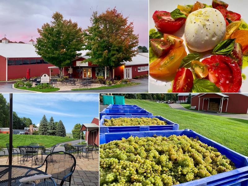 Bistro Polaris at Black Star Farms