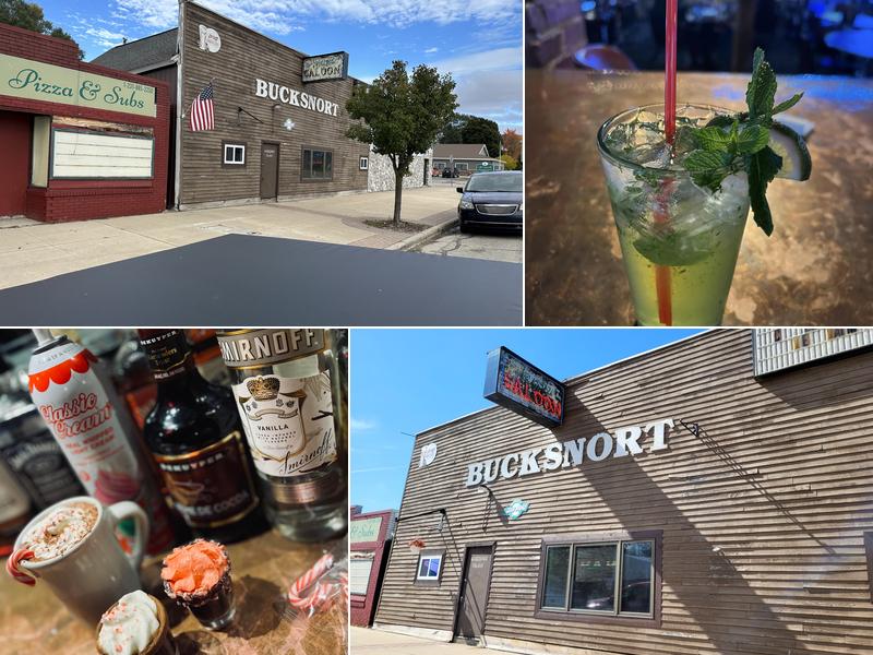 Bucksnort Bar 106 W Mesick Ave, Mesick